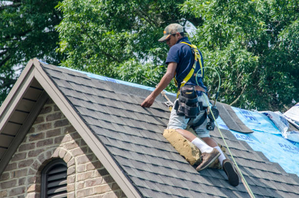 Best Flat Roof Repair Services  in Great Notch, NJ